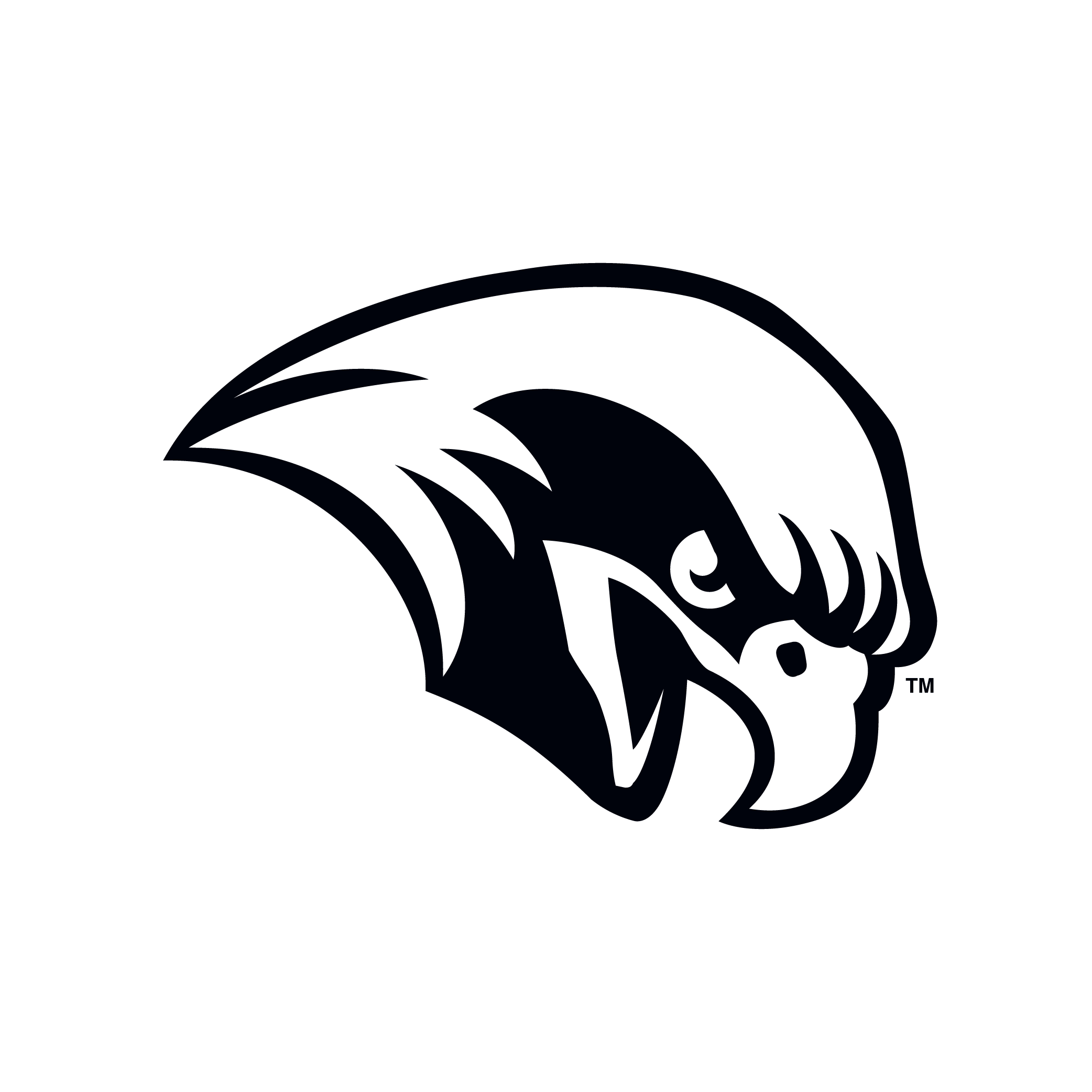 athletics-logos-roanoke-college